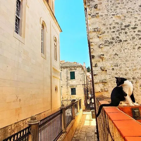 Heart Of The Apartman