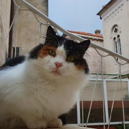 Apartman Heart Of The *