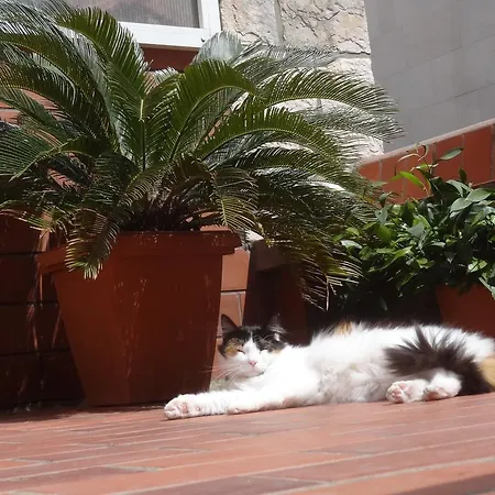 Apartamento Heart Of The Dubrovnik