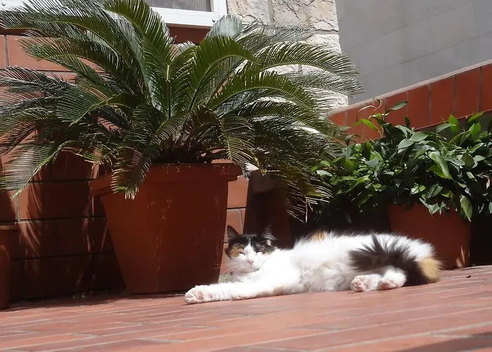 Apartmán Heart Of The Dubrovník