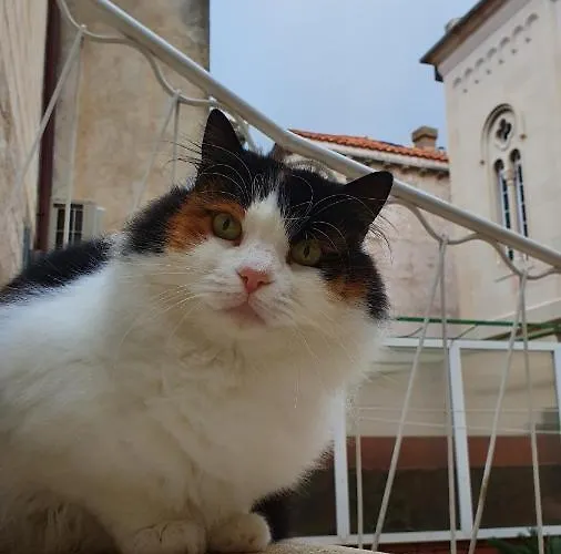 Apartmán Heart Of The *